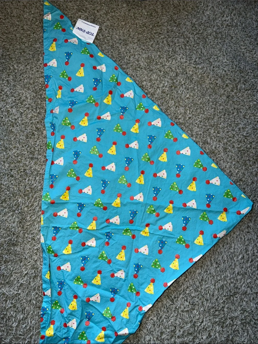 Top Paw bright teal
